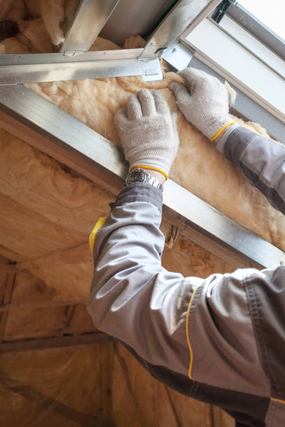 Best Cellulose Insulation in Albemarle, NC