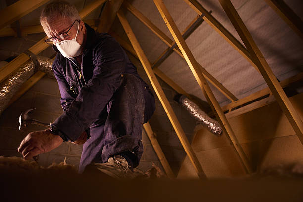 Best Geographic-Specific Insulation Services in Albemarle, NC